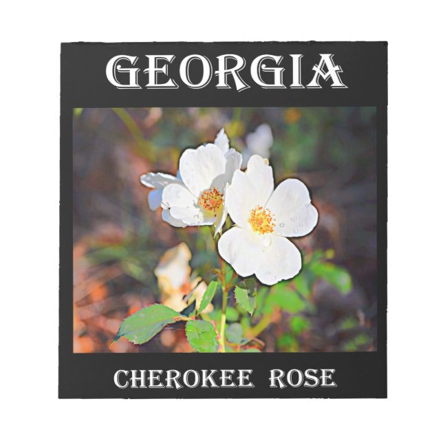 Georgia Cherokee Ro Anteckningsblock (Framsida)