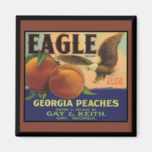 Georgia Eagle Peacher Magnet