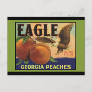 Georgia Eagle Peacher Vykort