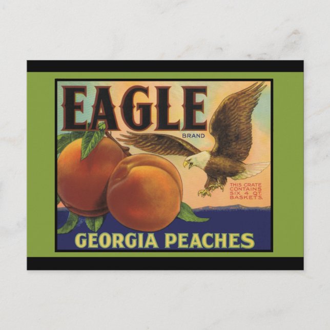 Georgia Eagle Peacher Vykort (Framsida)