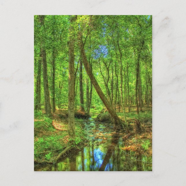 Georgia liggande vykort (Framsida)