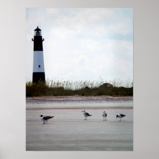 Georgia Lighthouse Poster