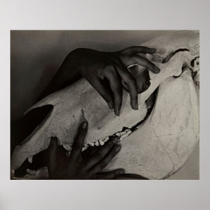 Georgia O'Keeffe Händer & Horse Skull - Modern kon Poster