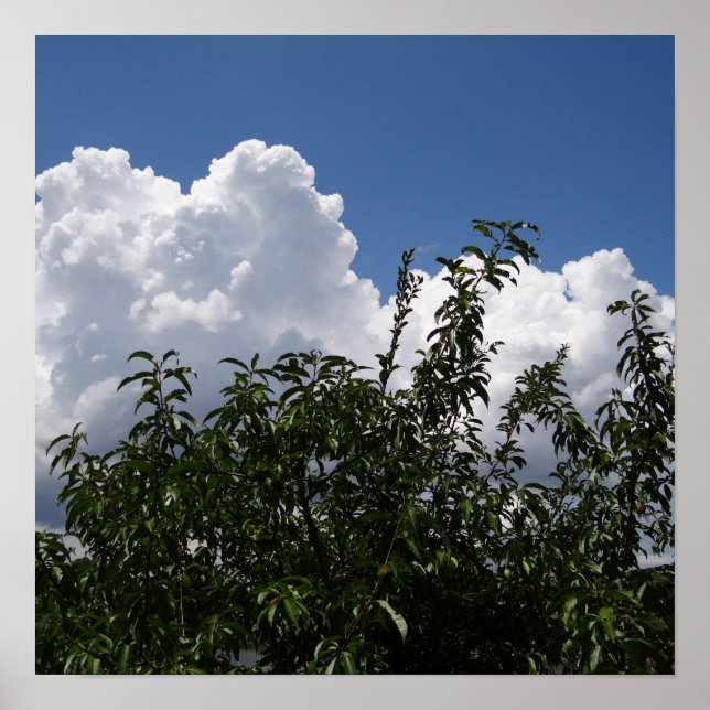 Georgia Peach Träd Fluffy White Clouds Poster (Framsidan)
