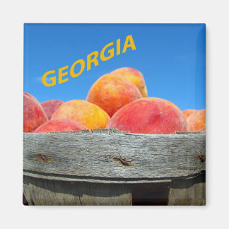 Georgia Peacher Magnet