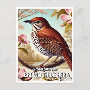 Georgia State Bird Brown Thrasher Vykort