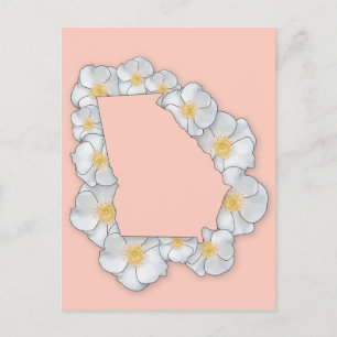 Georgia State Flower - Cherokee Ro Vykort