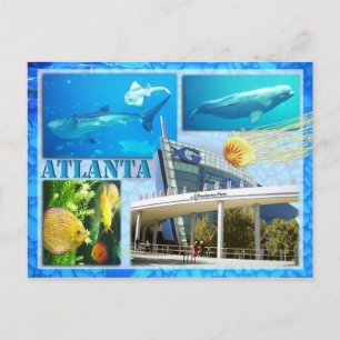 GEORGIEN AQUARIUM, ATLANTA, GEORGIEN VYKORT