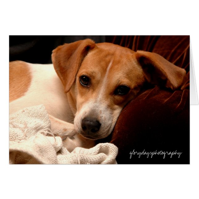 Georgien, glorydaysphotografi hälsningskort (Framsidan Horizontal)