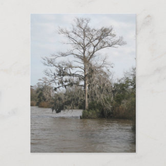 Georgiens träsk vykort