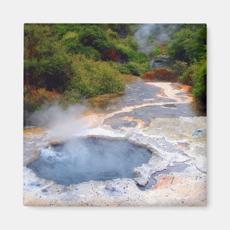 Geotermisk aktivitet nära Rotorua, Nya Zeeland Magnet
