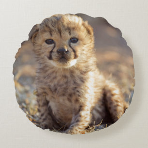Gepard 19 dagar gammal hanunge rund kudde