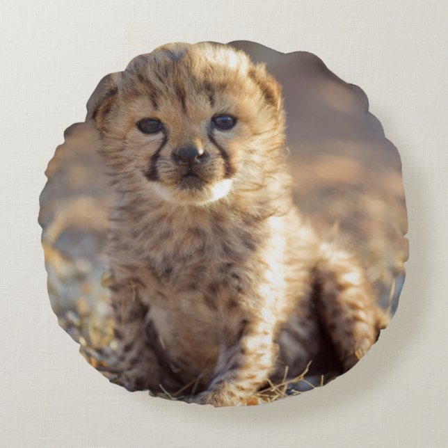Gepard 19 dagar gammal hanunge rund kudde (Framsidan)