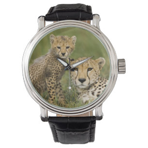 Gepard, Acinonyx jubatus, med unge Armbandsur