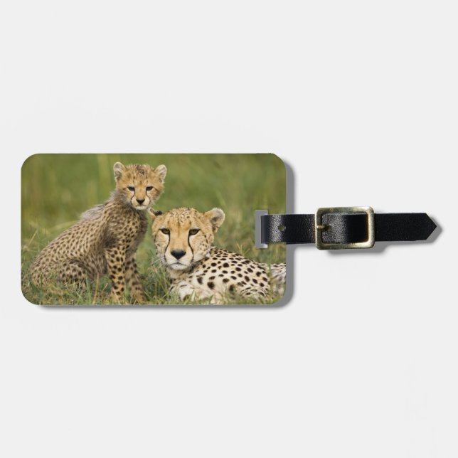 Gepard, Acinonyx jubatus, med unge Bagagebricka (Horisontell Framsida)