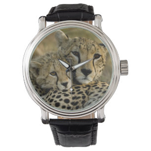 Gepard, Acinonyx jubatus, med unge i Masai 2 Armbandsur