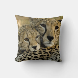 Gepard, Acinonyx jubatus, med unge i Masai 2 Kudde