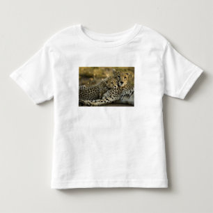 Gepard, Acinonyx jubatus, med unge i Masai 2 T-shirt