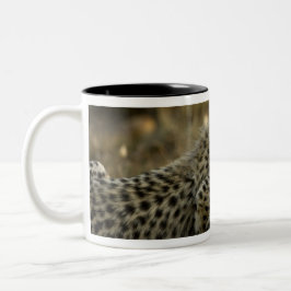 Gepard, Acinonyx jubatus, med unge i Masai 2 Två-Tonad Mugg