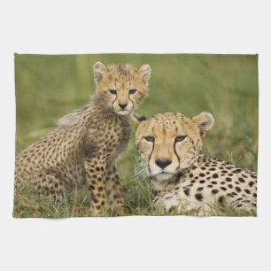 Gepard, Acinonyx jubatus, med unge Kökshandduk