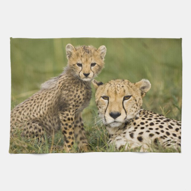 Gepard, Acinonyx jubatus, med unge Kökshandduk (Horisontell)