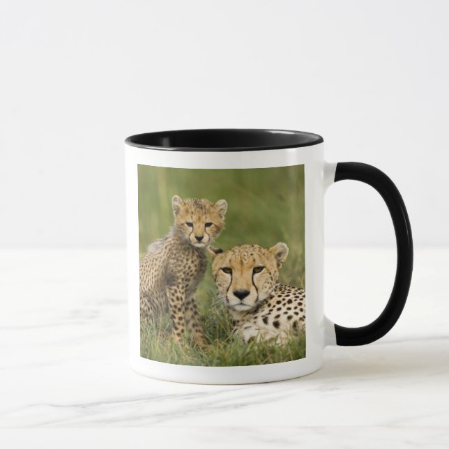 Gepard, Acinonyx jubatus, med unge Mugg (Höger)