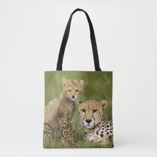 Gepard, Acinonyx jubatus, med unge Tygkasse