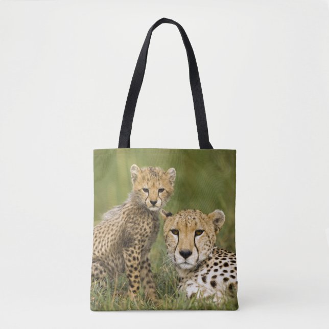 Gepard, Acinonyx jubatus, med unge Tygkasse (Framsida)