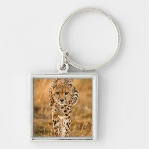 Gepard (Acinonyx Jubatus) Porträtt, Maasai Fyrkantig Silverfärgad Nyckelring