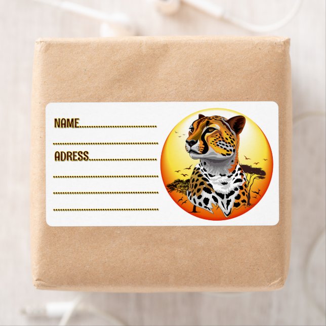 Gepard Afrikansk Kattdjur Vild Djur Fyrkantig Före Fraktsedel (Insitu)