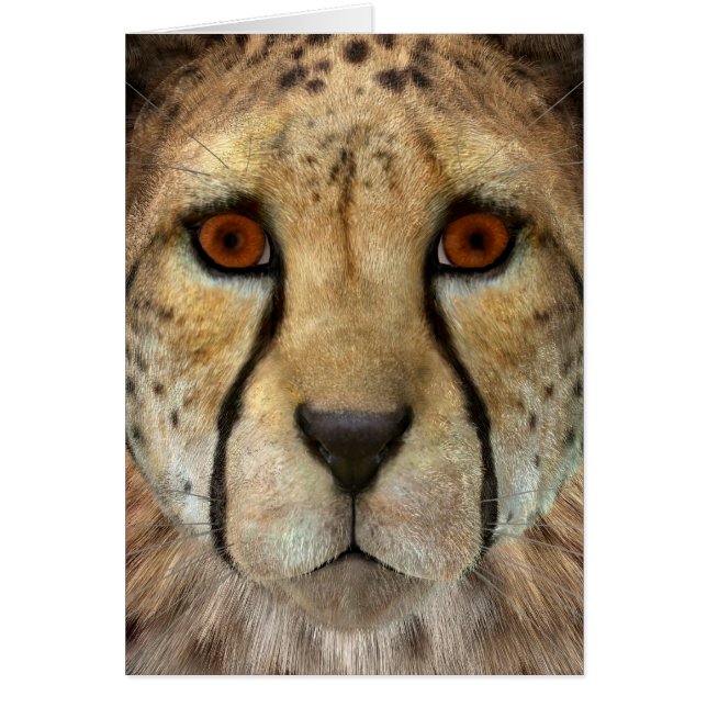 Gepard Hälsningskort (Framsidan)