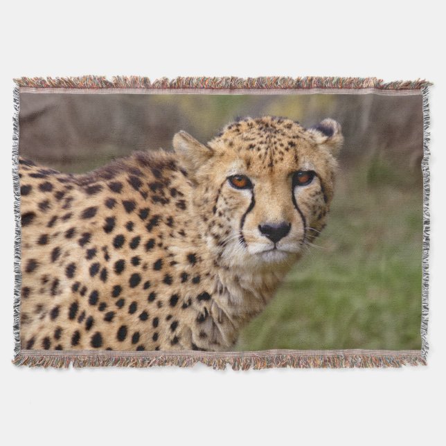 Gepard Kastar Täcke Mysfilt (Framsidan)
