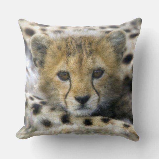Gepard Kudde (Framsida)