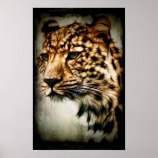 Gepard Poster