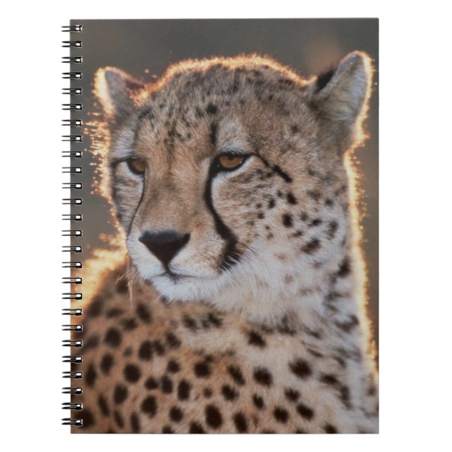 Gepard ser bort anteckningsbok med spiral (Framsidan)