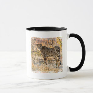 Gepard ser sig omkring mugg