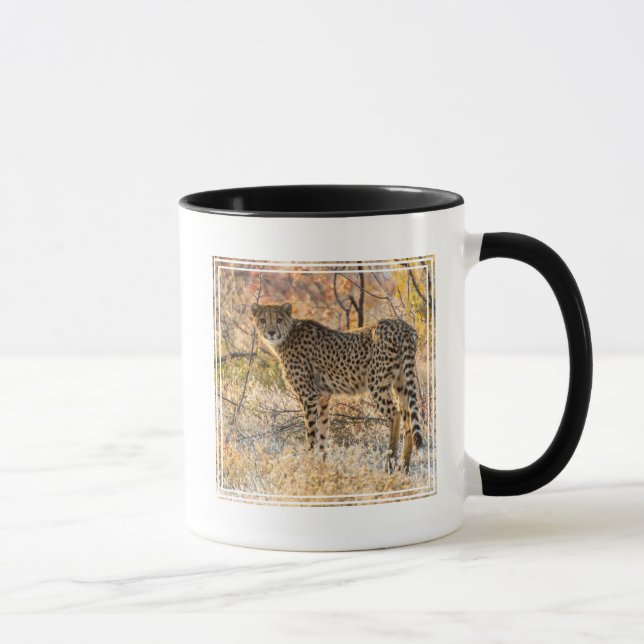 Gepard ser sig omkring mugg (Höger)