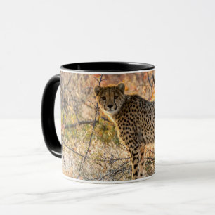 Gepard ser sig omkring mugg