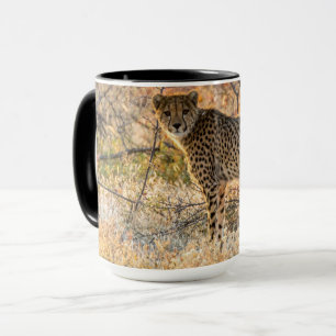 Gepard ser sig omkring mugg