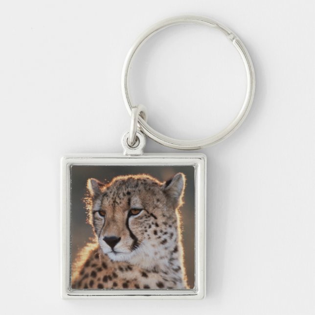 Gepard tittar bort fyrkantig silverfärgad nyckelring (Framsidan)