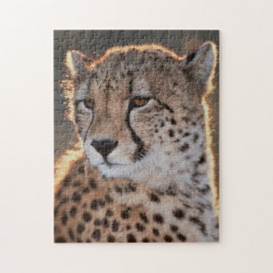 Gepard tittar bort pussel