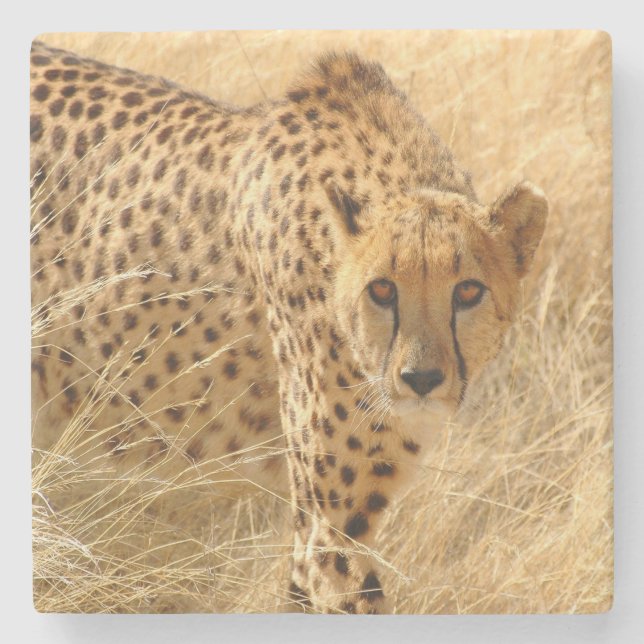 Gepard Underlägg Sten (Framsidan)