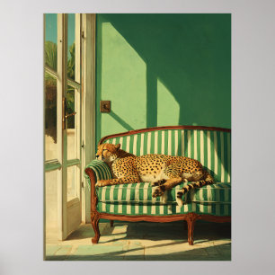 Gepard vilar i solbelyst rum poster