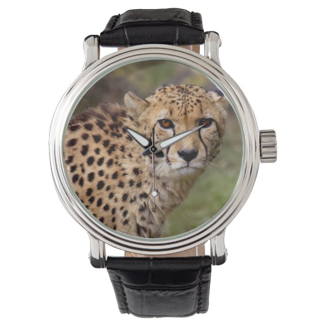 Gepard Watch Armbandsur (Framsida)