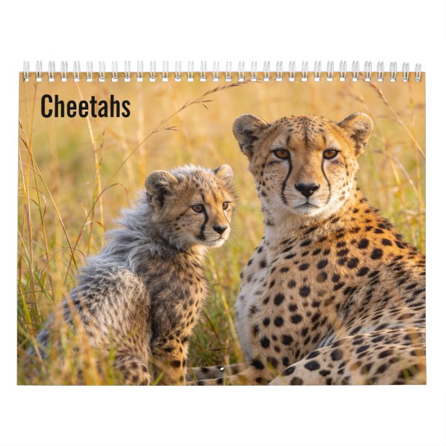Gepardar 2027 Vägkalender Kalender (Omslag)