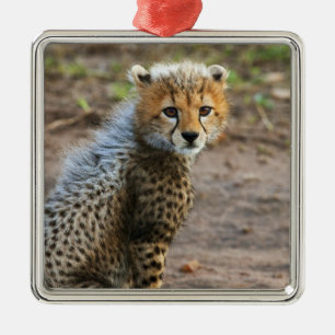 Gepardunge (Acinonyx Jubatus) Julgransprydnad Metall