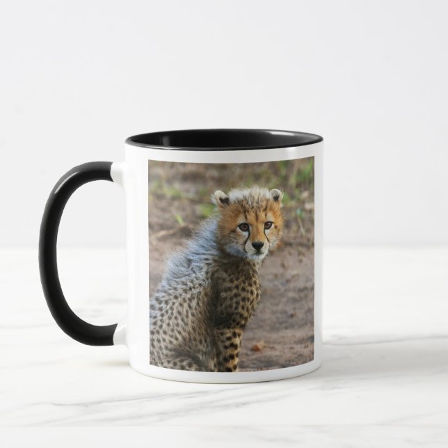 Gepardunge (Acinonyx Jubatus) Mugg (Vänster)