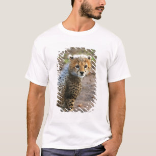Gepardunge (Acinonyx Jubatus) Tee