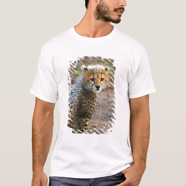 Gepardunge (Acinonyx Jubatus) Tee (Framsida)