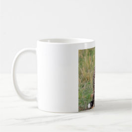 Gepardunge tittar tillbaka på dig. kaffemugg